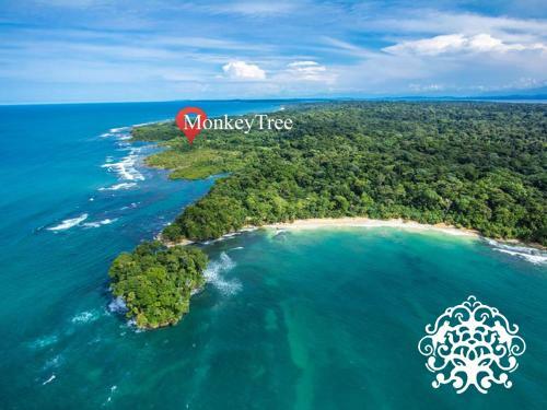 Monkey Tree Retreat By The Sea