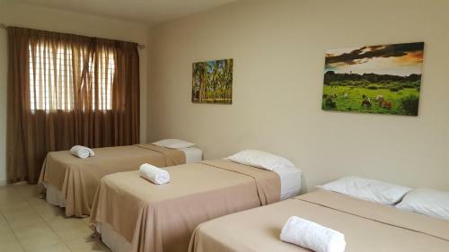 Hotel Kevin
