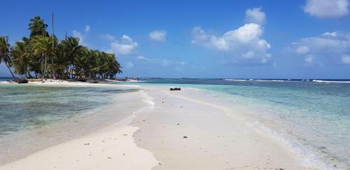 Lodge Caba�as Narasgandup (naranjo Chico)