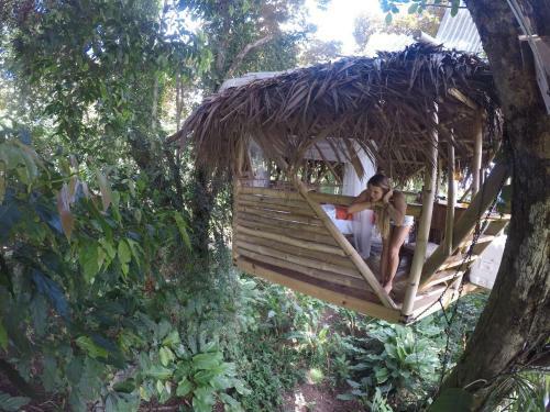 Jungle Treehouse By The Sea