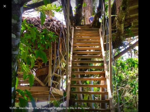 Jungle Treehouse By The Sea