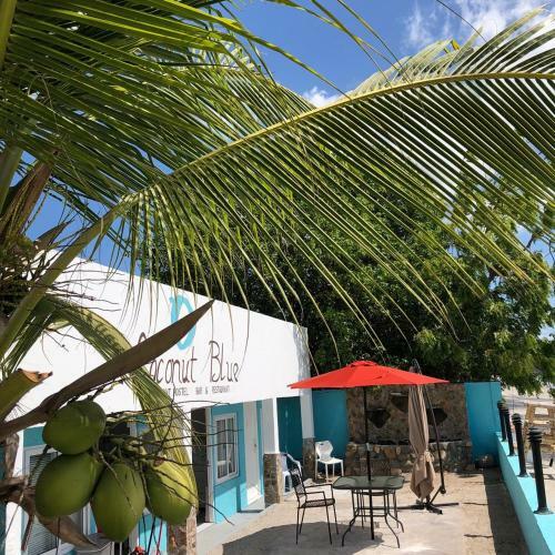 Posada Coconut Blue