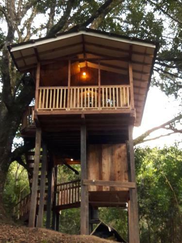 Lodge Mount Totumas Cloud Forest