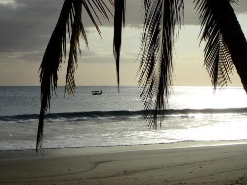 Hotel Morrillo Beach Eco Resort
