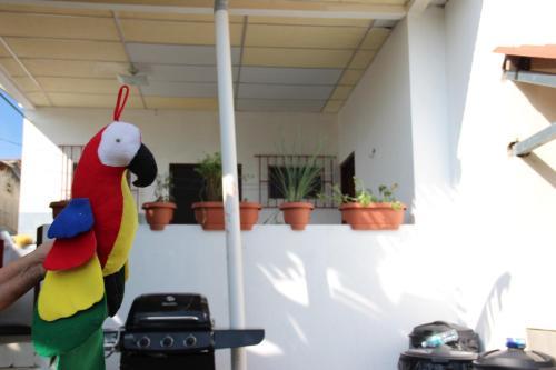Bed & Breakfast Hostal Mi Castillo