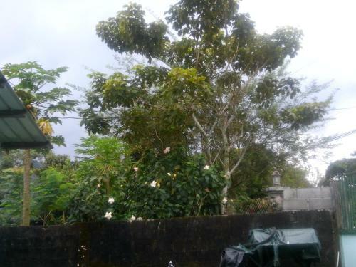 Bed & Breakfast Dondejos�