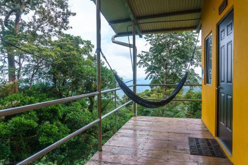 Lost And Found Jungle Hostel