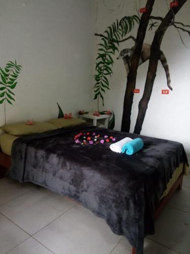 Lost And Found Jungle Hostel