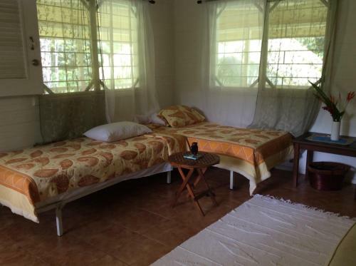 Sand Dollar Beach Bed & Breakfast