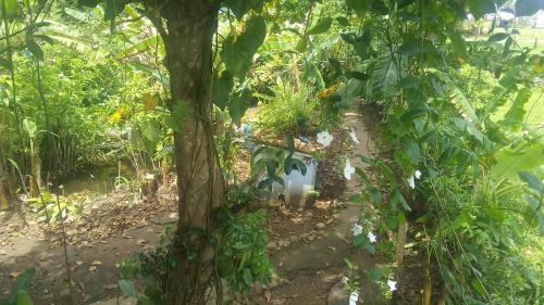 Albergue Hospedaje Ecologico Nahual