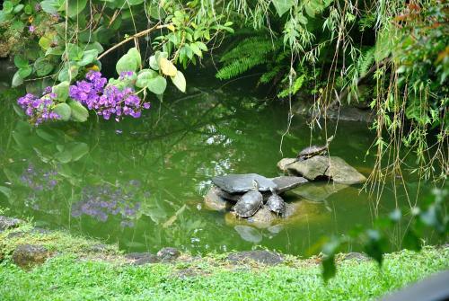 Serenity Home