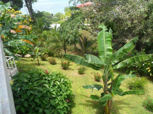 Hostal Villa Red Hill