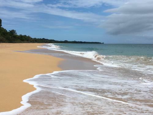Hotel Seahaven At Bluff Bed And Breakfast