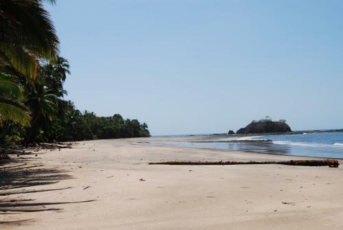 El Nido Del Tuc�n