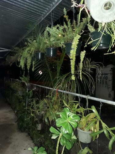 Albergue Hostal Brisas Calobrenas
