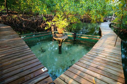 Hotel Urraca Private Island