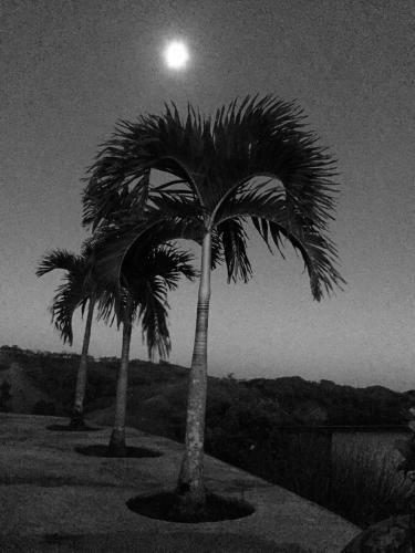 Villa Vista Para�so