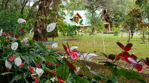 Lodge Casa Camila Boquete