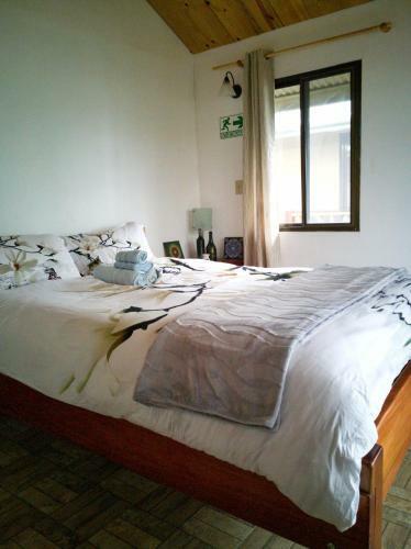 Bed & Breakfast Eco Horqueta