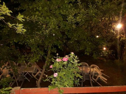 Diamond Hotel & Resort Duiker Hunza
