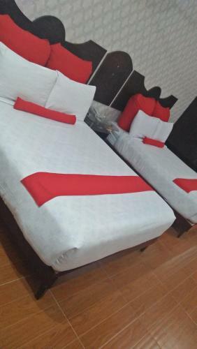 Hotel Sehwan Divine
