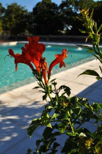 Hostal Chacras De Azcona Hoster�a