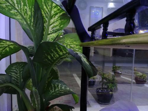 Apartamento Husun Almashaikh Hotel Suites