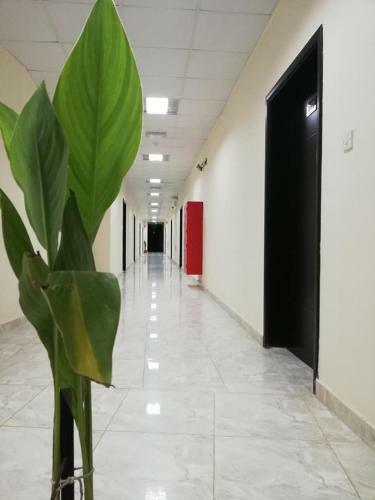 Posada Babylon Apartment Furnished