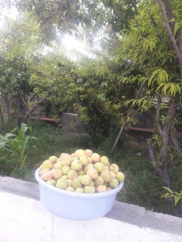 Hostal Abu Omair Jabal Shams House