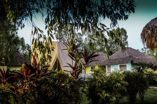 Lodge Las Dunas Surf Resort