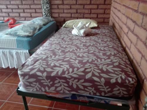 Bed & Breakfast Posada Y Comedor Gloriana