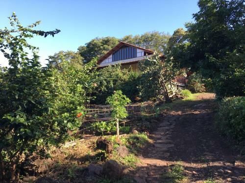 Bed & Breakfast Casa Del Bosque
