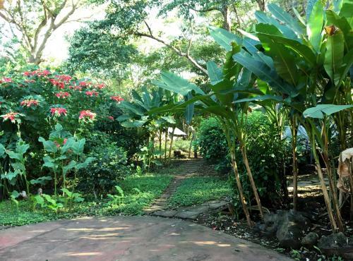 Bed & Breakfast Casa Del Bosque