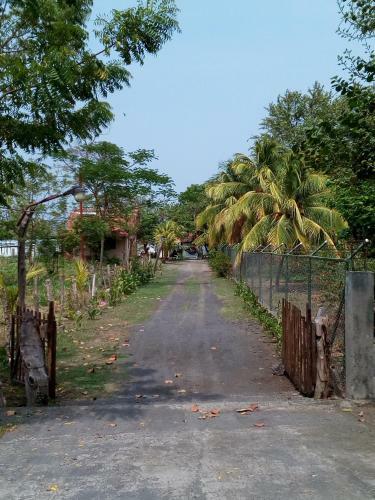 Bed & Breakfast Exotic Island