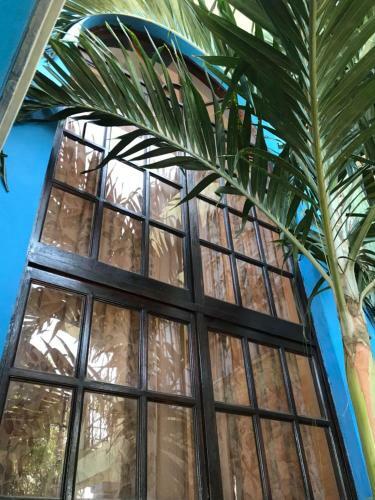 Albergue Hostal Casa Country