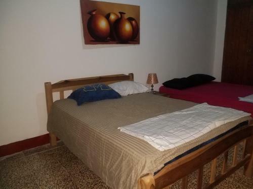 Lucy`s Hostal