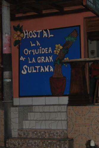 Hostal Orquideas Granada