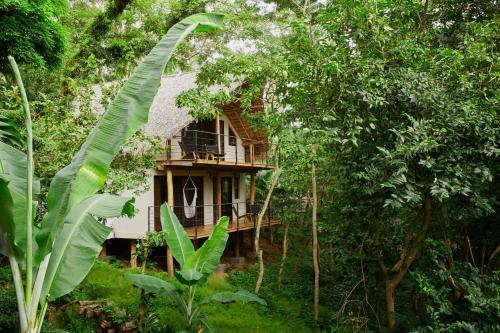 Hotel Treecasa Resort
