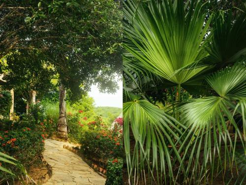 Hotel Nicawaves