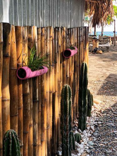 Bed & Breakfast Casitas Pacific
