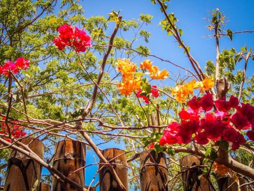 Hostal Vibra Guesthouse