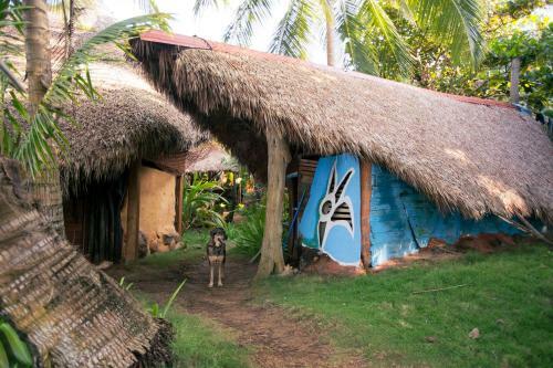 Caba�as En Ensue�os. Right By The Beach!