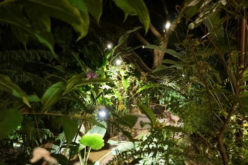 Bed & Breakfast Casa Marimba