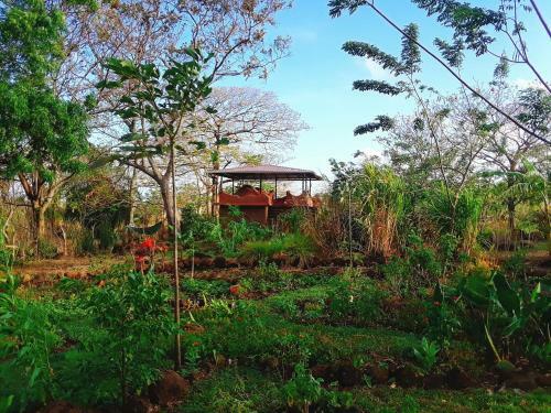 Serenea B&B
