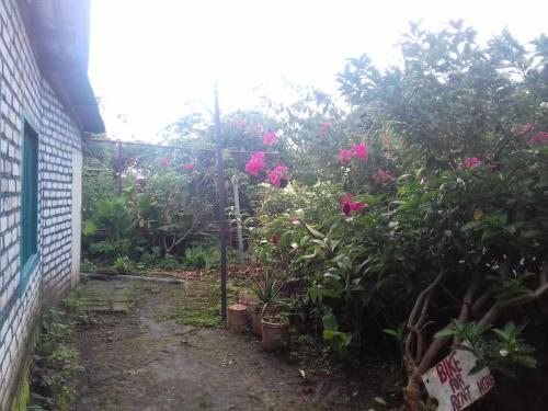Hostal Y Restaurante Mar�a