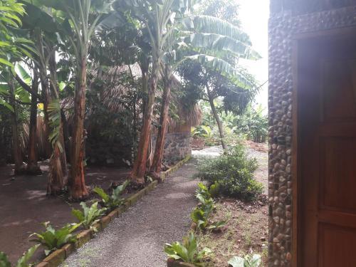 Albergue Hostal Tecali