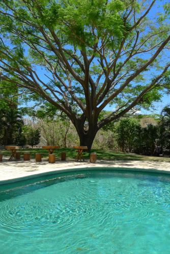 Apartamento Modern Studio Suite - Close To Beach - Pool