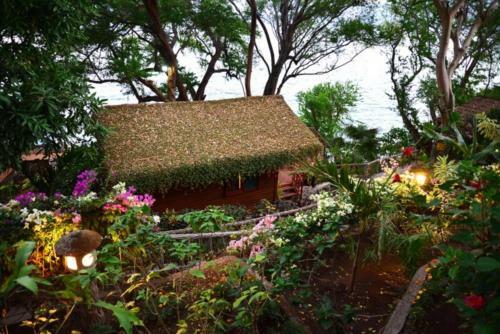 Hotel Posada Ecologica La Abuela