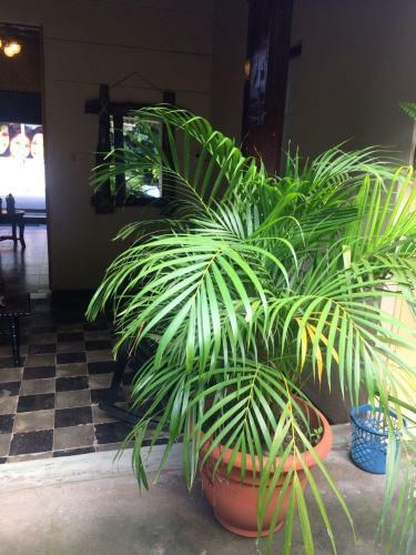 Hostal Hostel Los Abuelos