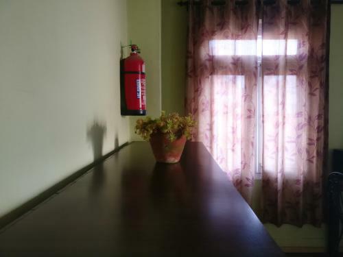Sun Apartment